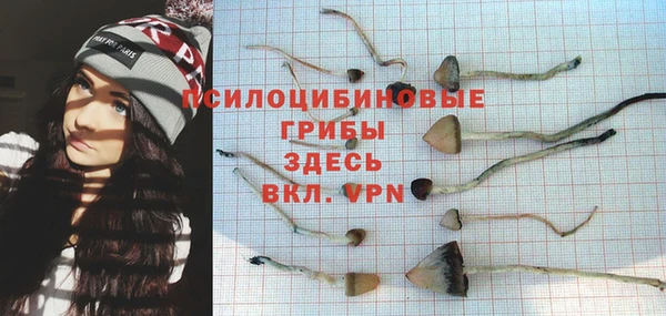 ECSTASY Балабаново