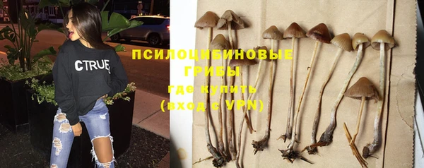 ECSTASY Балабаново