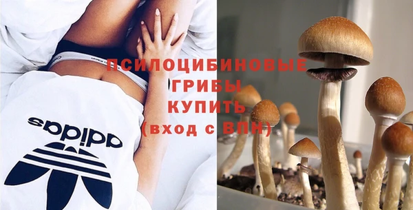 2c-b Баксан